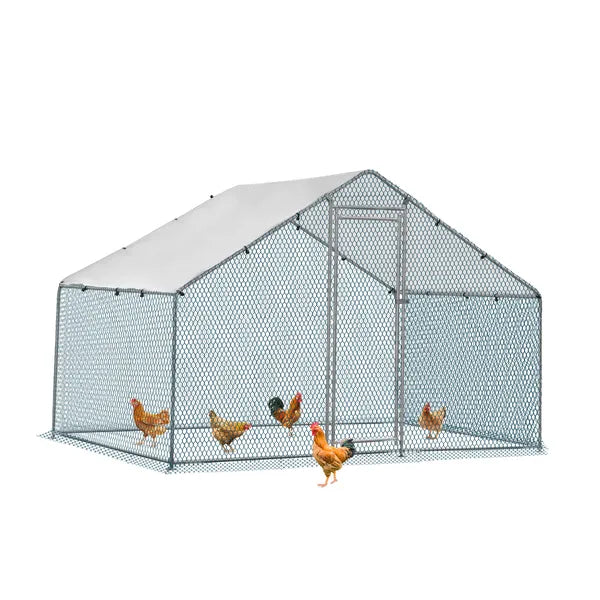 2X2X2m&6,5x6,5x6,5ft Coop de poulet argenté avec toit pointu
