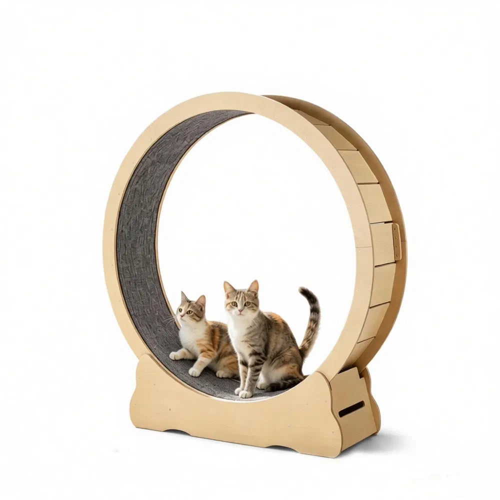Roue d'exercice en bois de chat