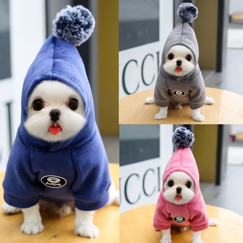 Animaux de compagnie Cat Vêtements Fleece Hairball à capuche Veste Hiver Kitty Petits chiens moyens Chats