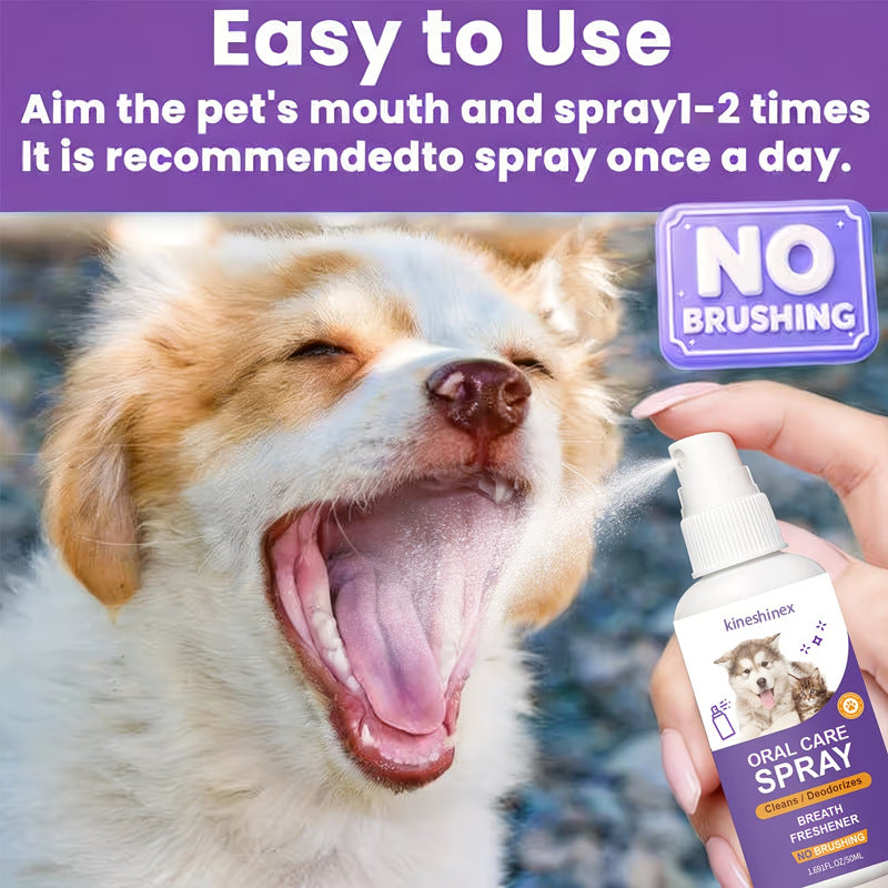 Spray de soins dentaires pour les animaux de compagnie pour le souffle frais