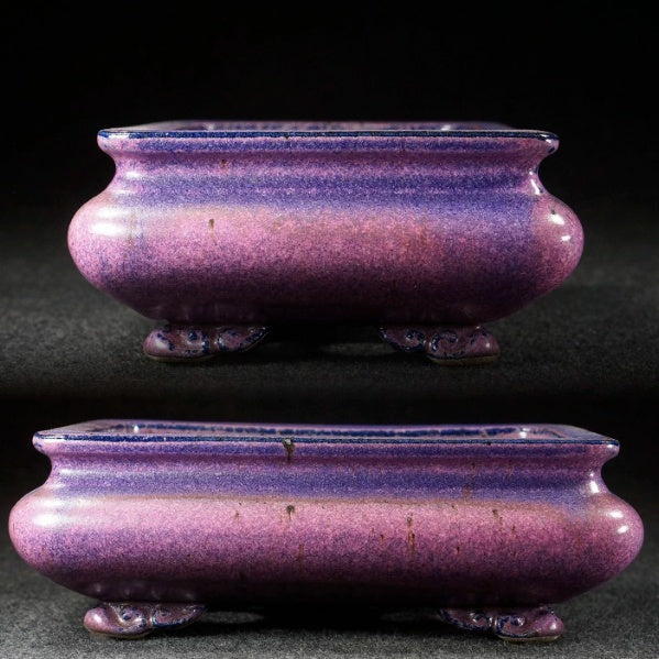 Pot à fleurs pourpre rectangulaire