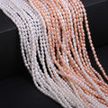 Perles naturelles d'eau douce Perles Accessoires de bijoux