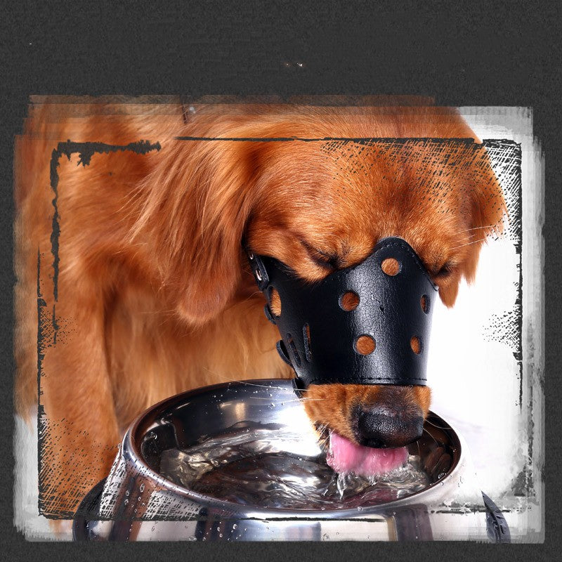 Petit chien Grand museau réglable Bite Proof