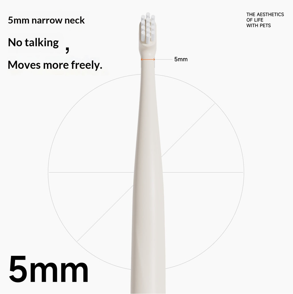 Brosse pour supprimer la plaque et prévenir le tartre
