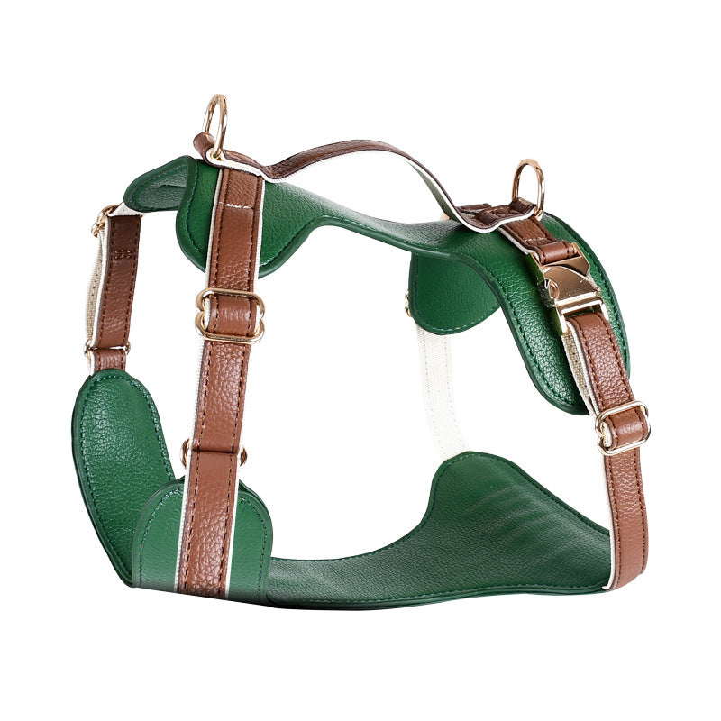 Harnais et laisse en cuir de luxe pour chien