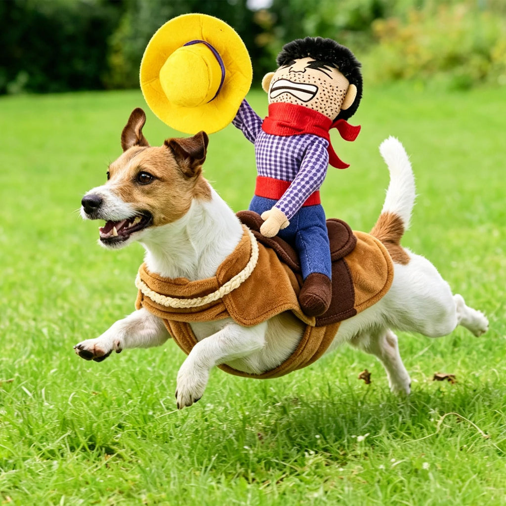 Costumes d'Halloween pour chiens