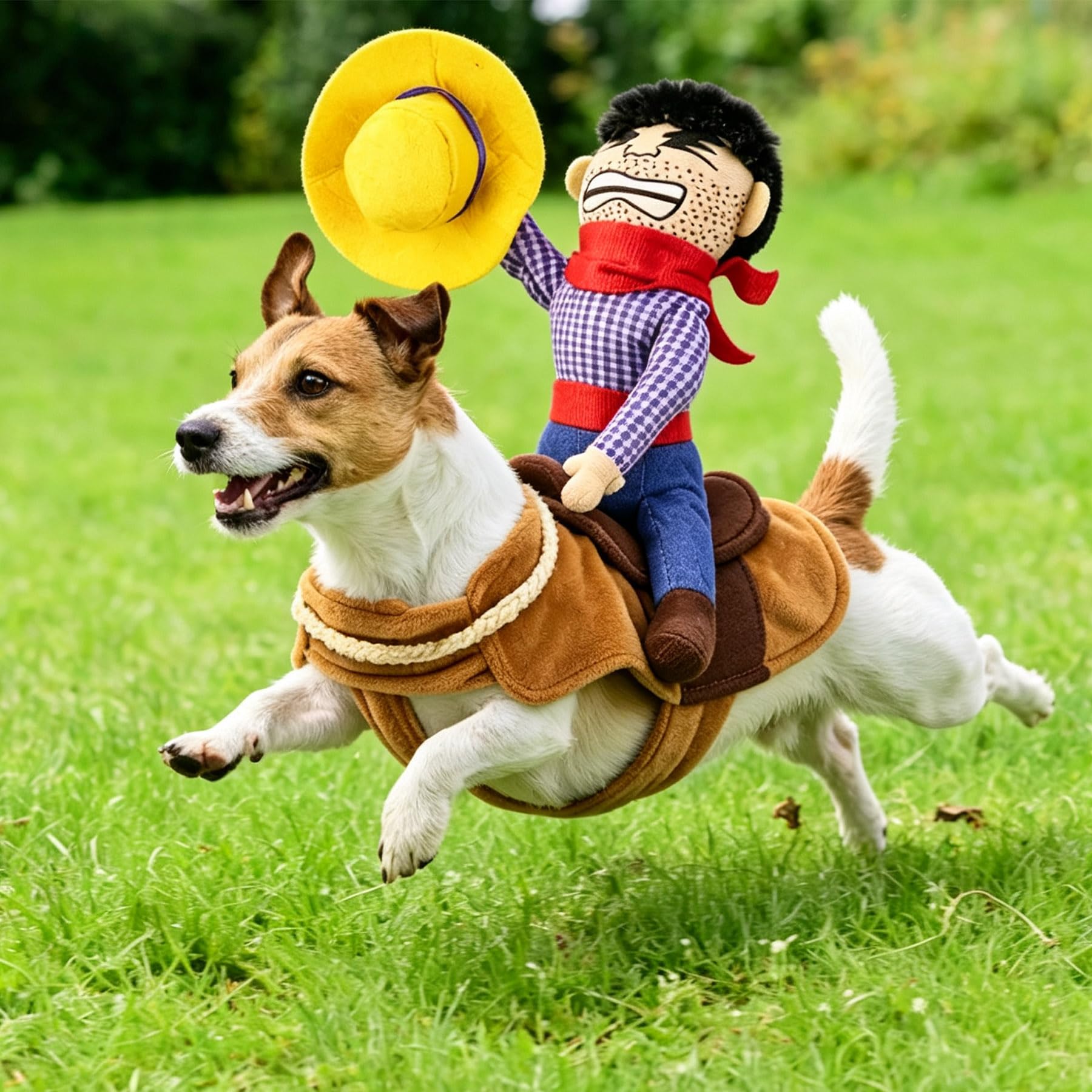 Costumes d'Halloween pour chiens