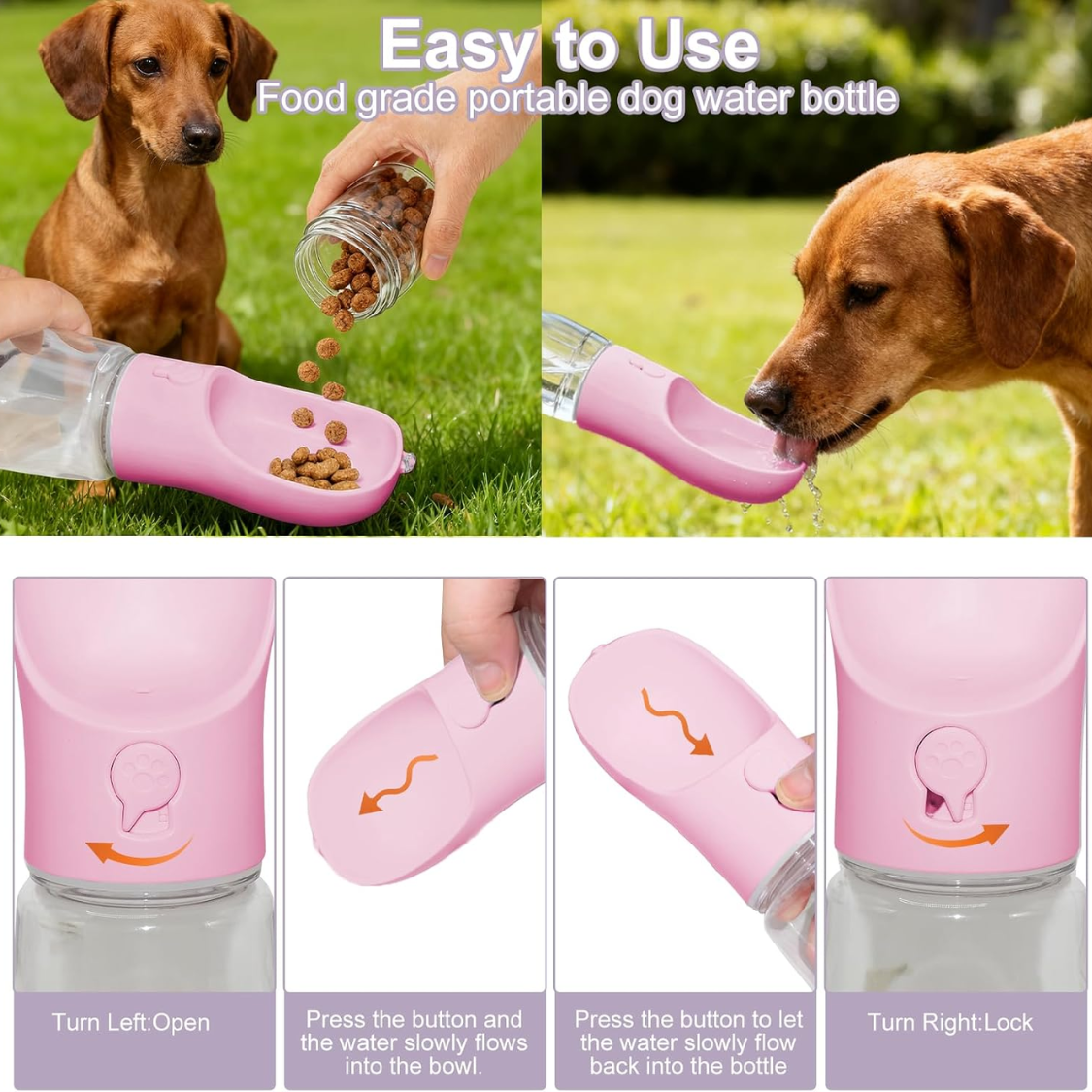Gourde pour chien 2 en 1 avec compartiment à croquettes