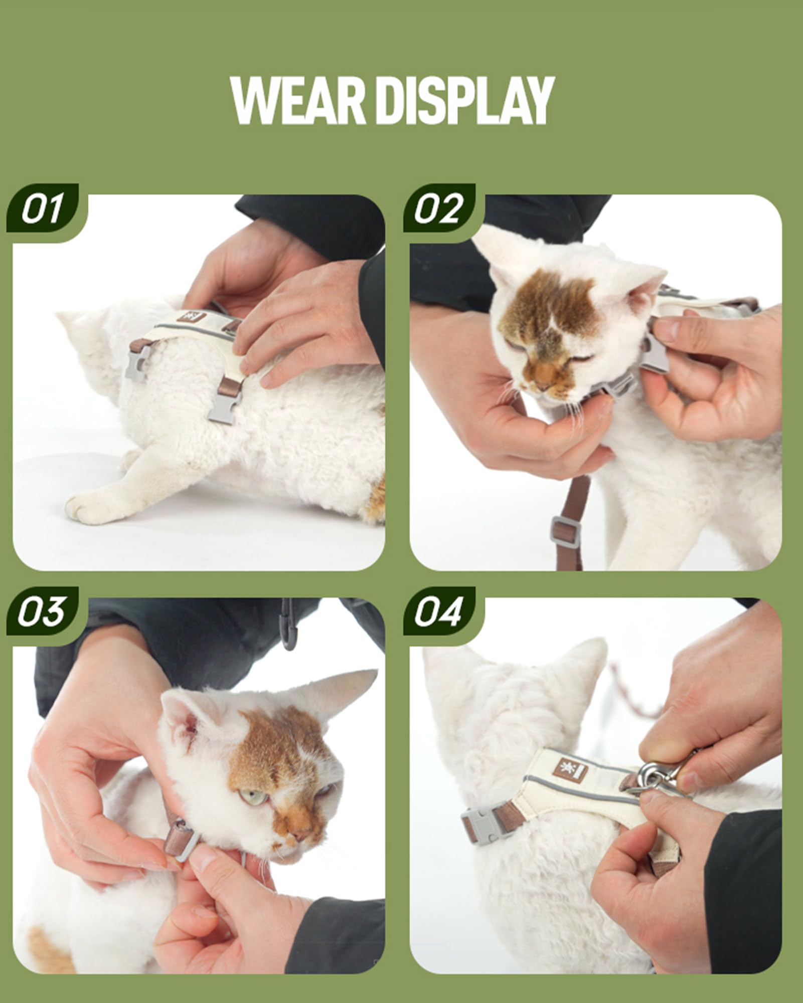 Harnais de chat et jeu de laisse avec bandes réfléchissantes