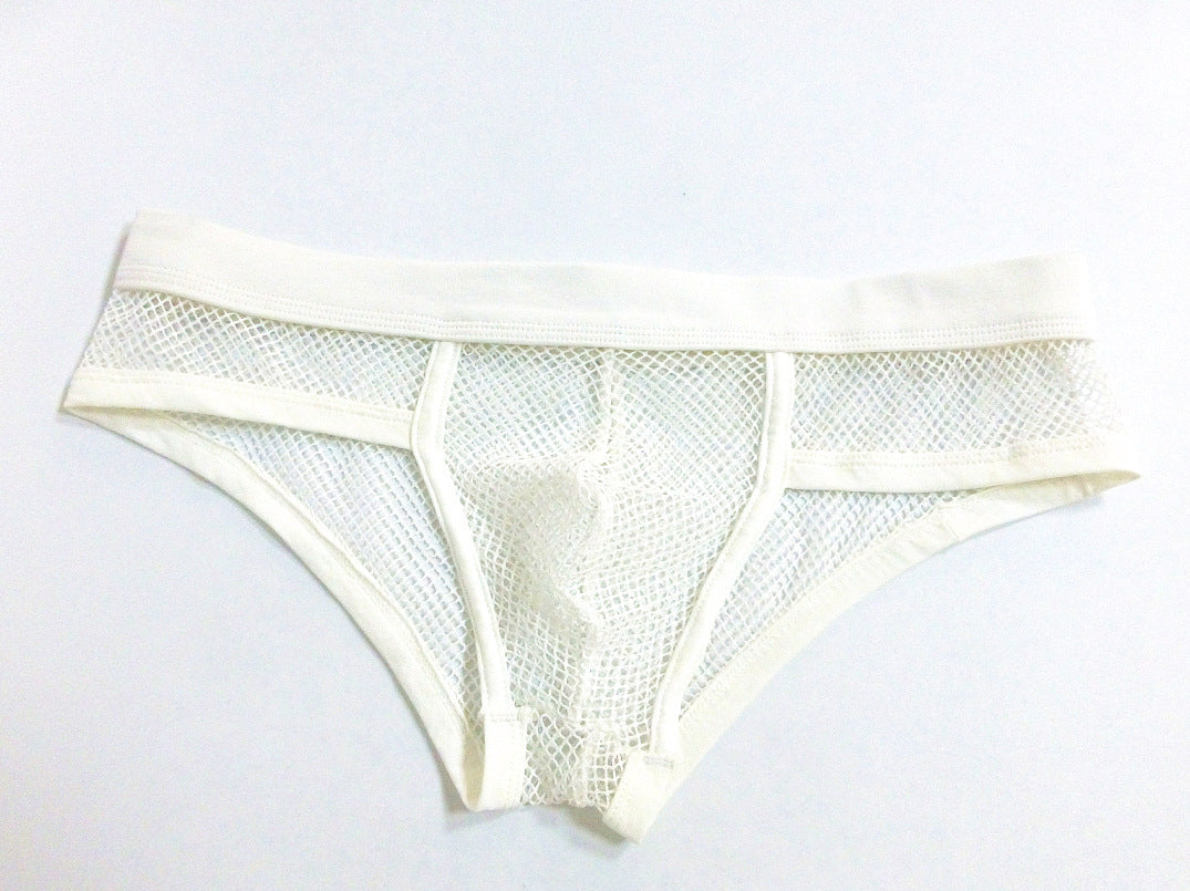 Sous-vêtements homme Transparent Mesh Slips Basse taille Convex Design Sous-vêtements hommes