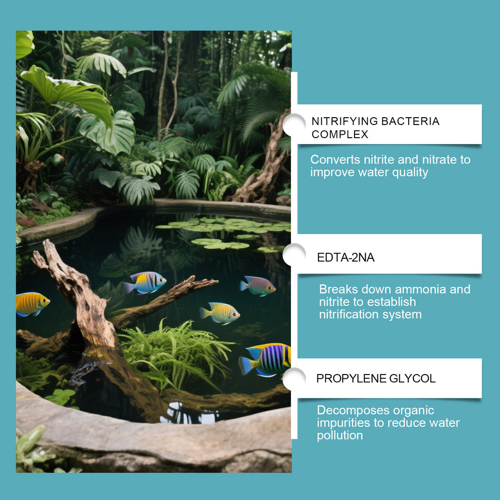 Eggbong Purificateur d'eau Soins quotidiens Purification douce pour les aquariums Qualité de l'eau claire Es