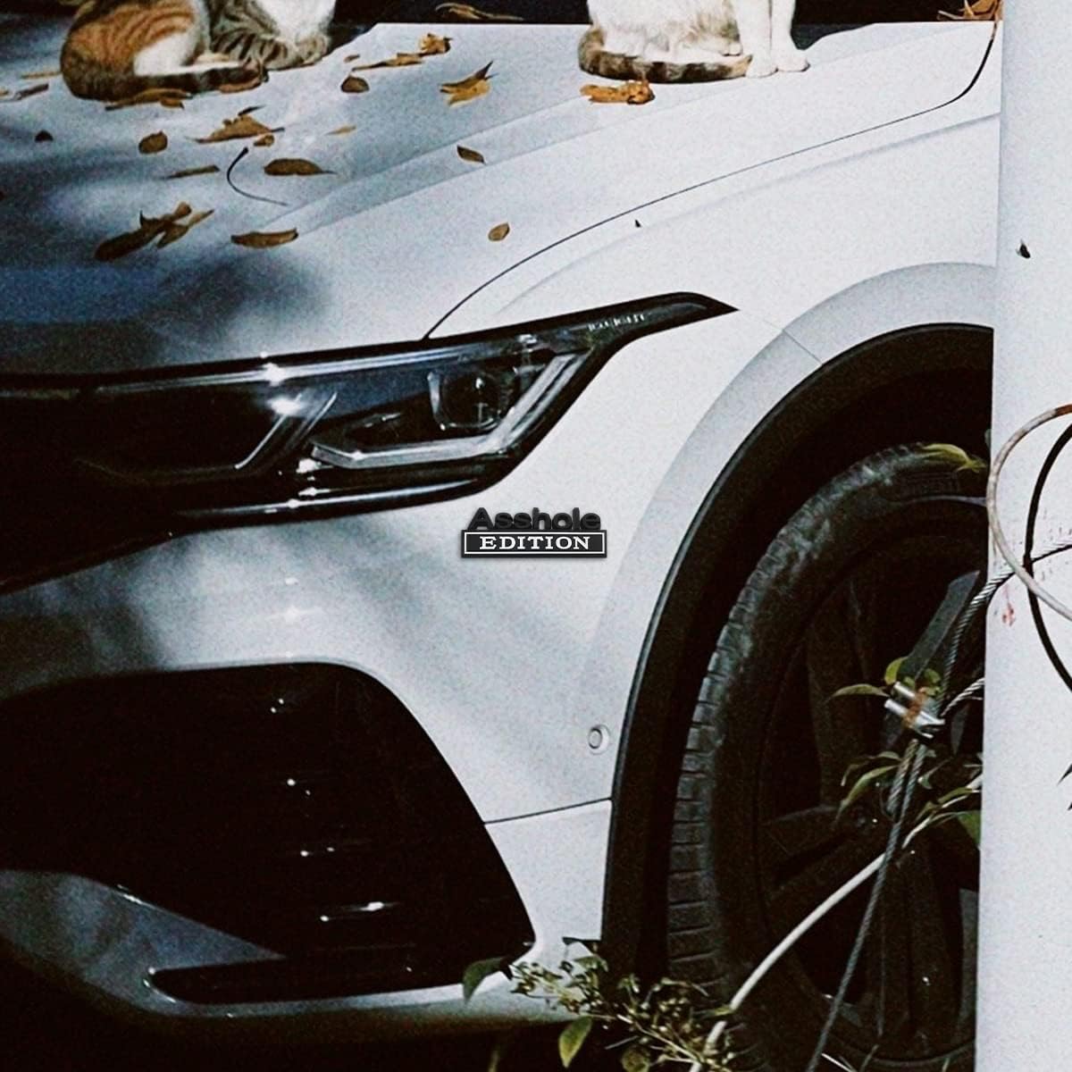 2pcs Emblem Car Decal
