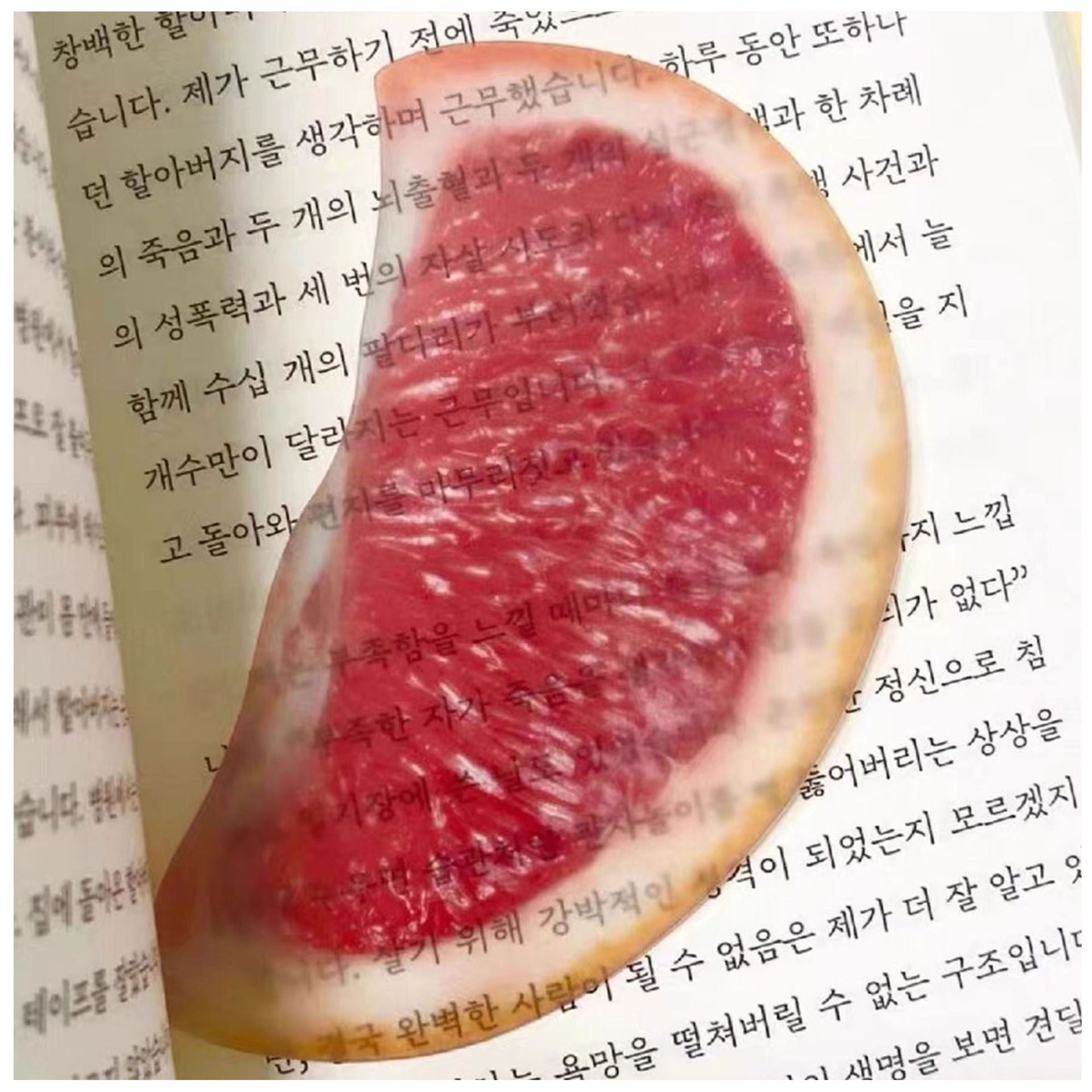Cute Fixed Book Photo Signet Cartoon Creative Watermelon Fruit Signet