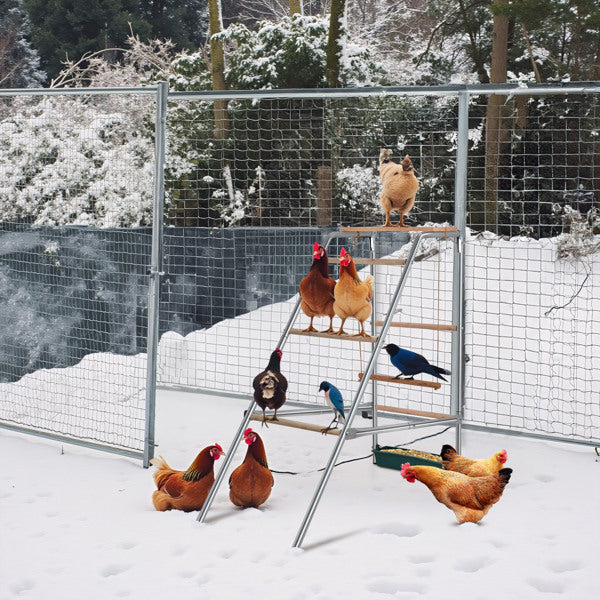 103x50x100cm Perchoir de poulet extérieur