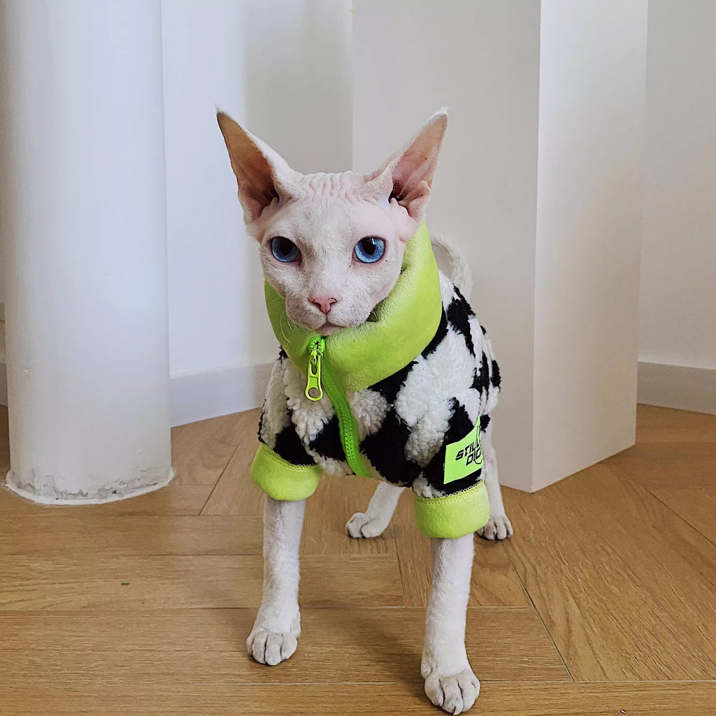 Chat sans cheveux Sphynx Devon hiver chaud agneaux lignés polaires wool Ultra-Tick Manteau