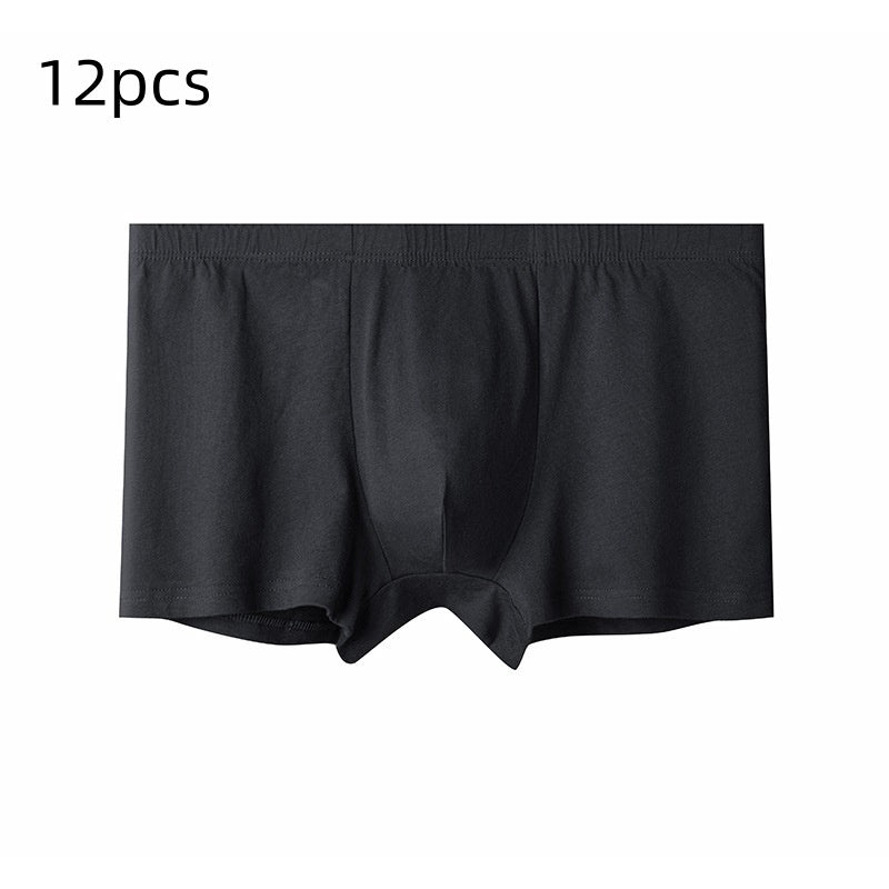 Briefs pour hommes pour hommes d'âge moyen et plus âgés