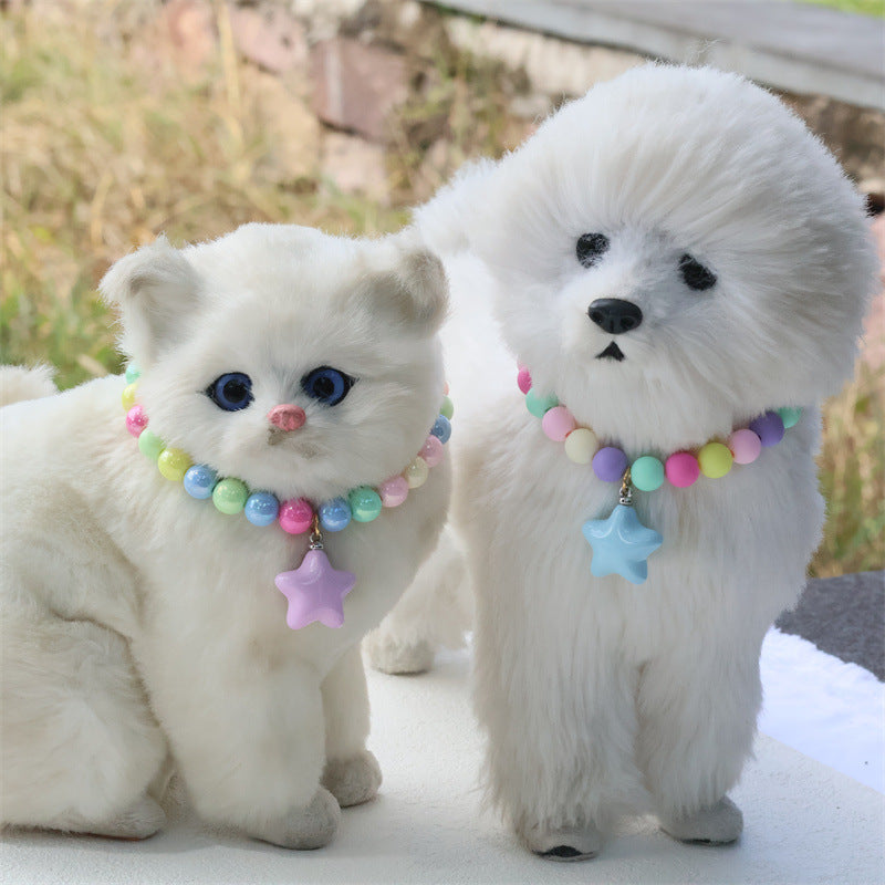 Collier pour animaux de compagnie de couleur mode
