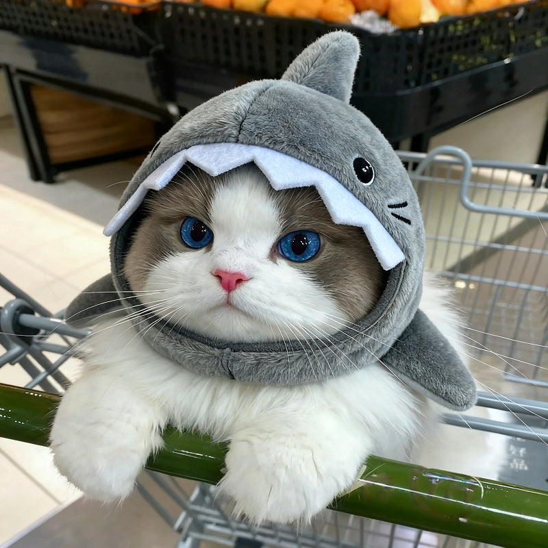 Tête de requin-chat chaud