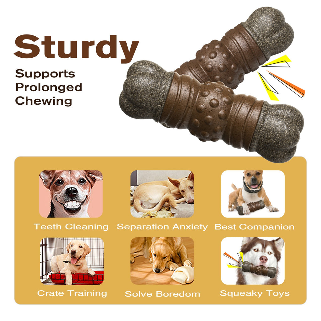 Jouet de brosse à dents pour chien osseux