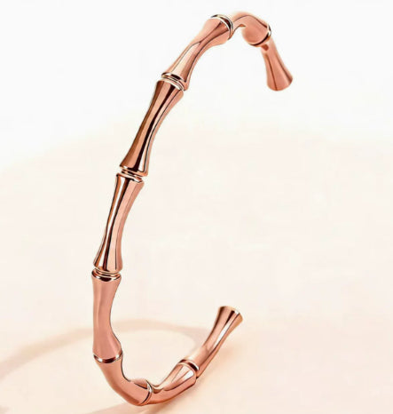 Bracelet en acier au titane pour femmes
