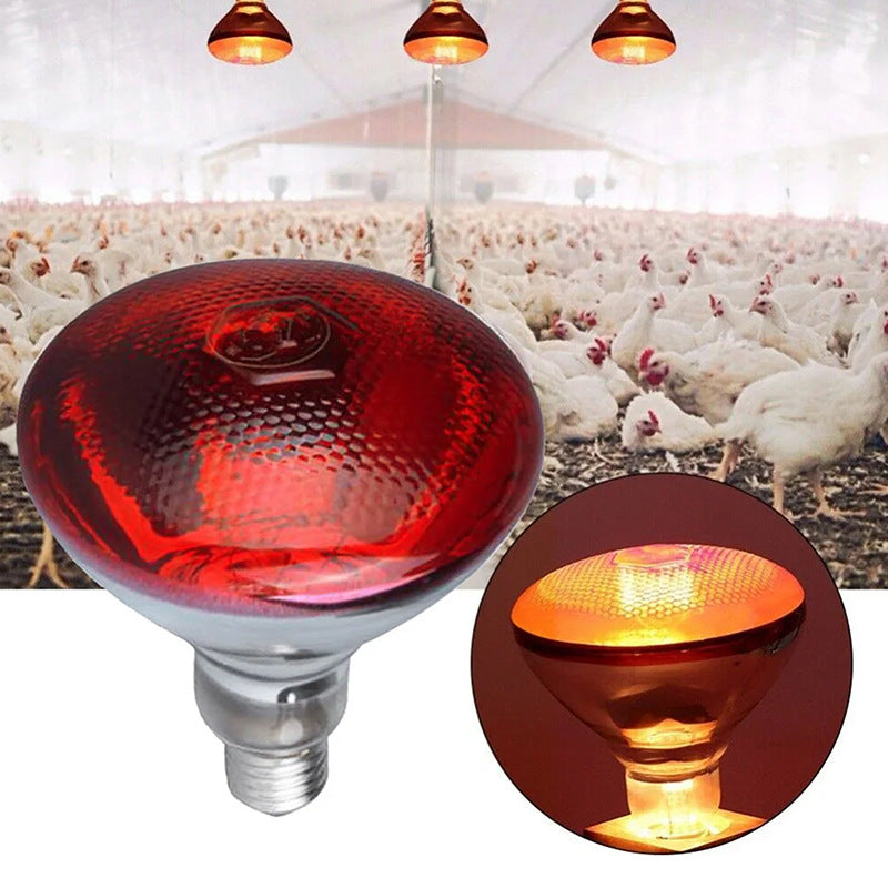 Lampe de chauffage infrarouge pour l'élevage