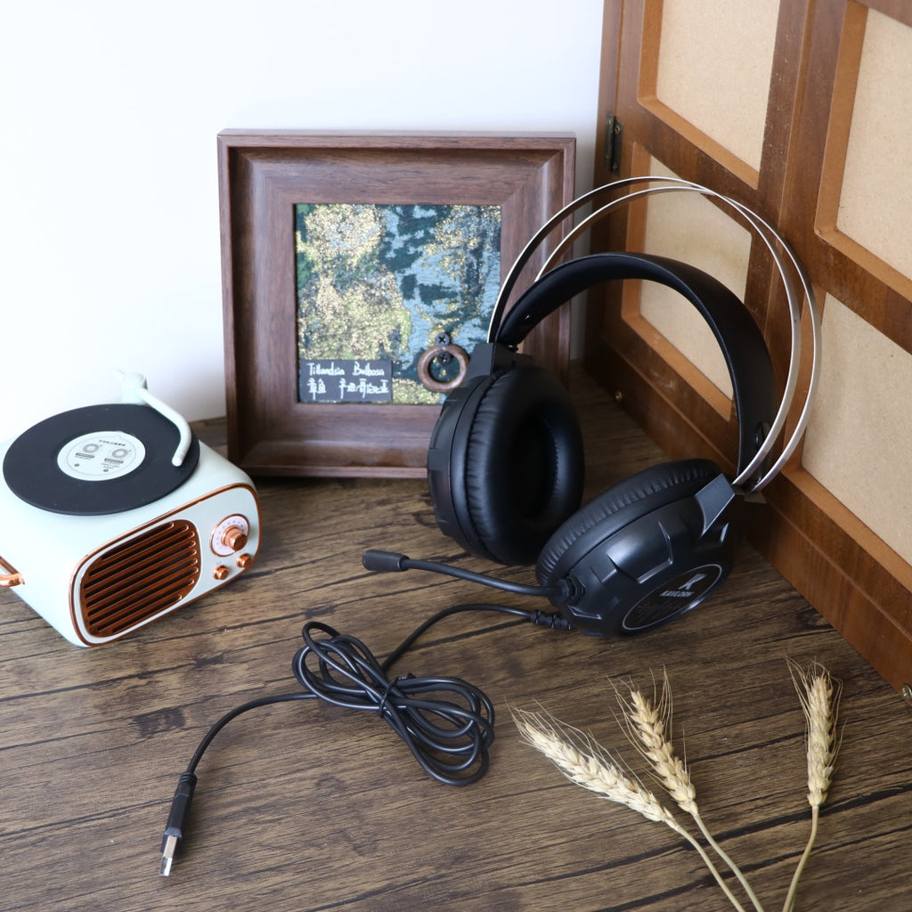 Casques filaires pour ordinateur