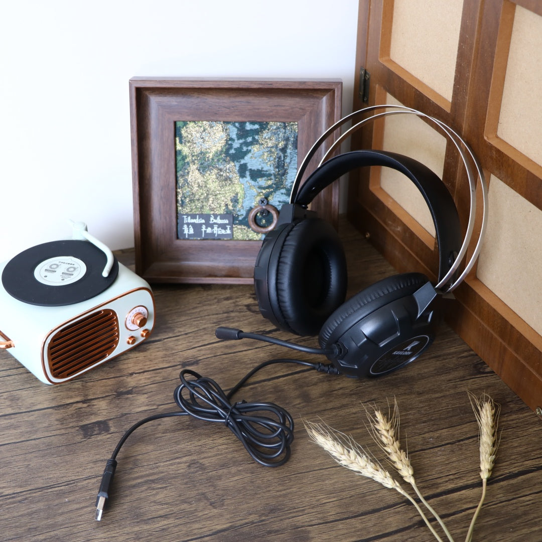 Casques filaires pour ordinateur
