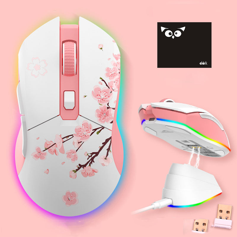 Souris de jeu sans fil léger