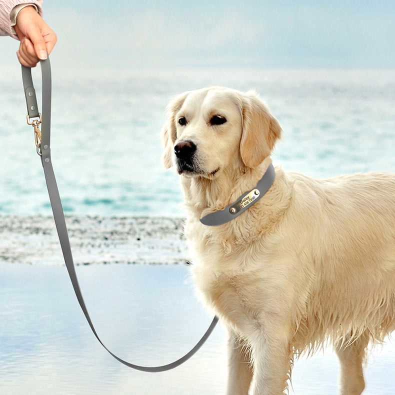 Col laisse chien moyen Teddy