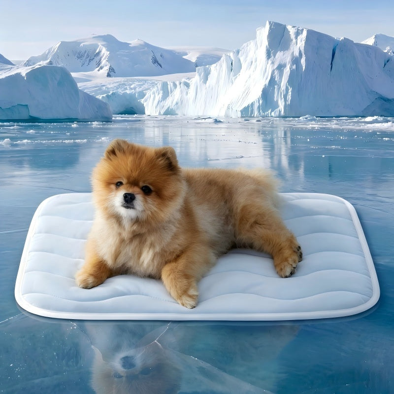Pet Dog Bed All-Season Sleeping Mat