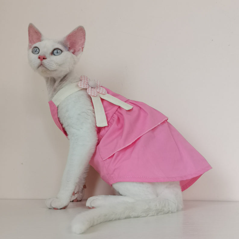 Sphynx Cat Robe d'été en coton avec des paillettes florales Accent