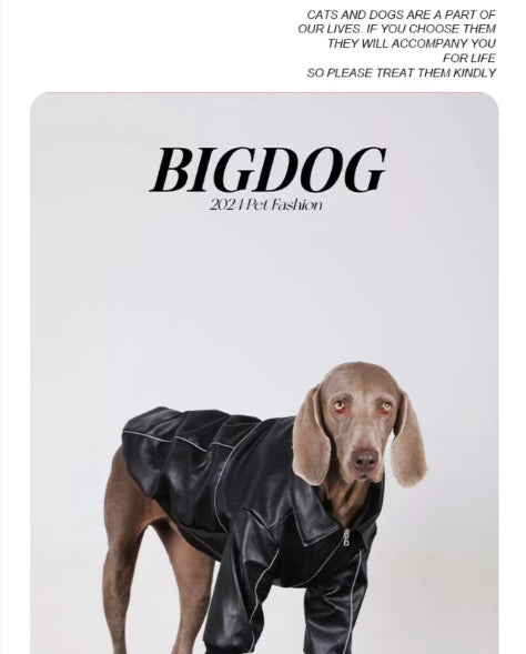 Vêtements de chien pour les races moyennes à grandes Veste en cuir noir automne pour les Labradors