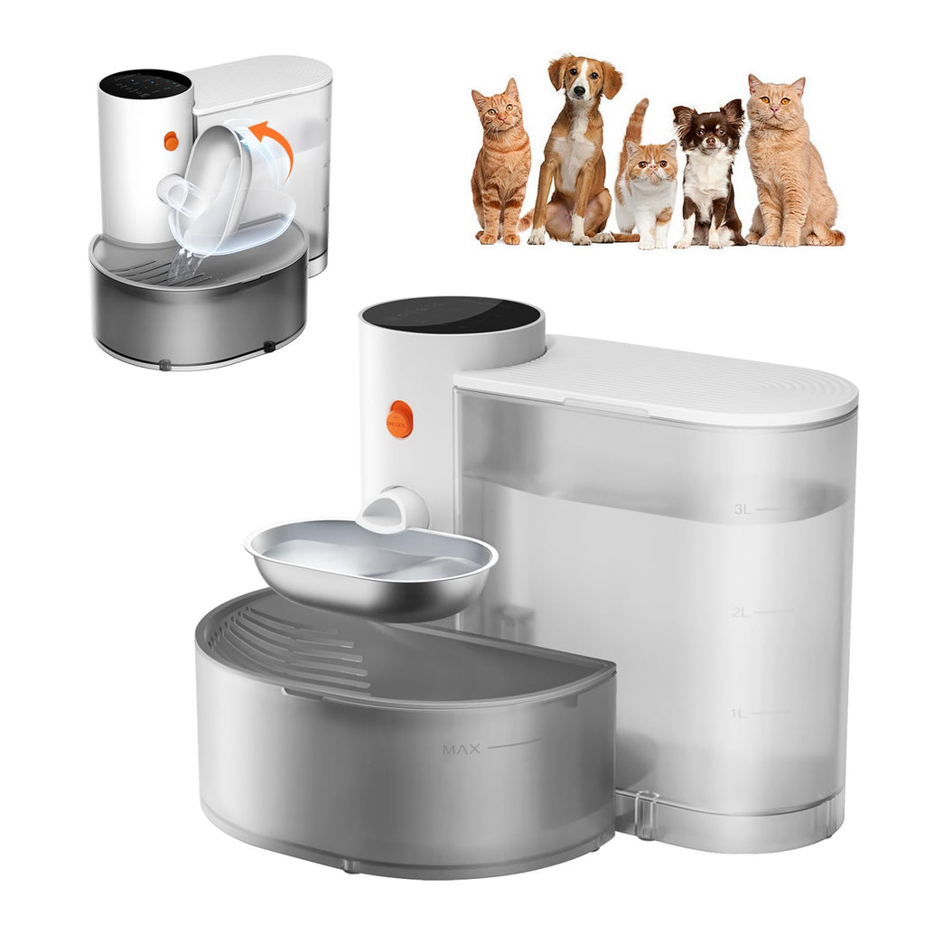 Distributeur d'eau pour chat intelligent - Bol d'eau en acier inoxydable