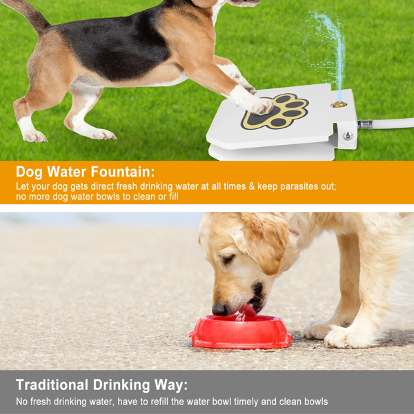 Fontaine d'eau pour chiens en plein air
