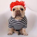 Créative Pet simple Funny Wig Headgear