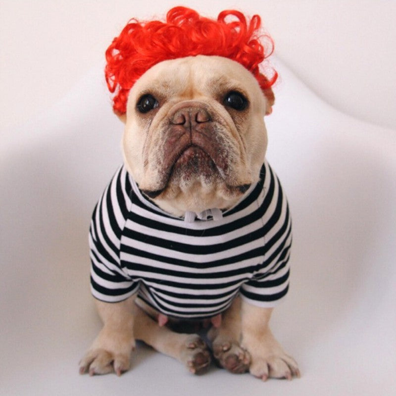 Créative Pet simple Funny Wig Headgear