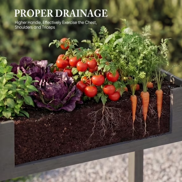 Lit - Cedar Planter avec liner non tissé