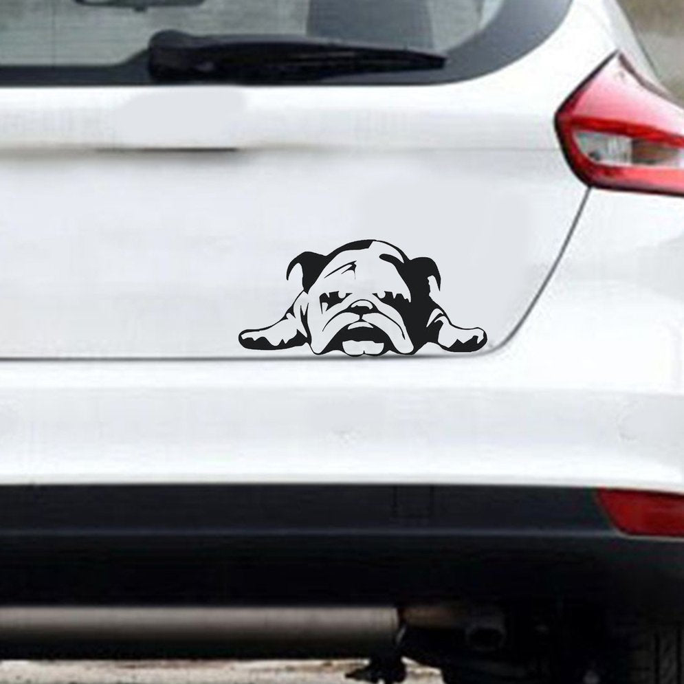 Autocollants de voiture anti-rayures Bulldog