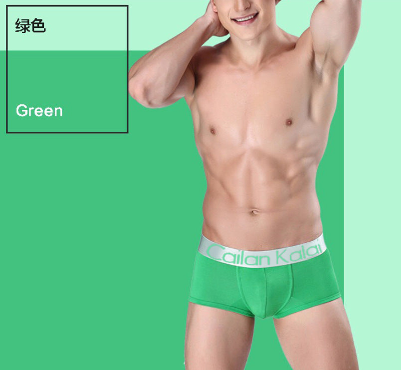 Sous-vêtements pour hommes Boxers Modal Breathable Boxer