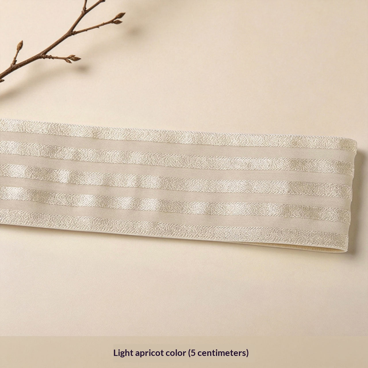 Bande élastique en soie colorée Shiny élastique Sewing Accessoires