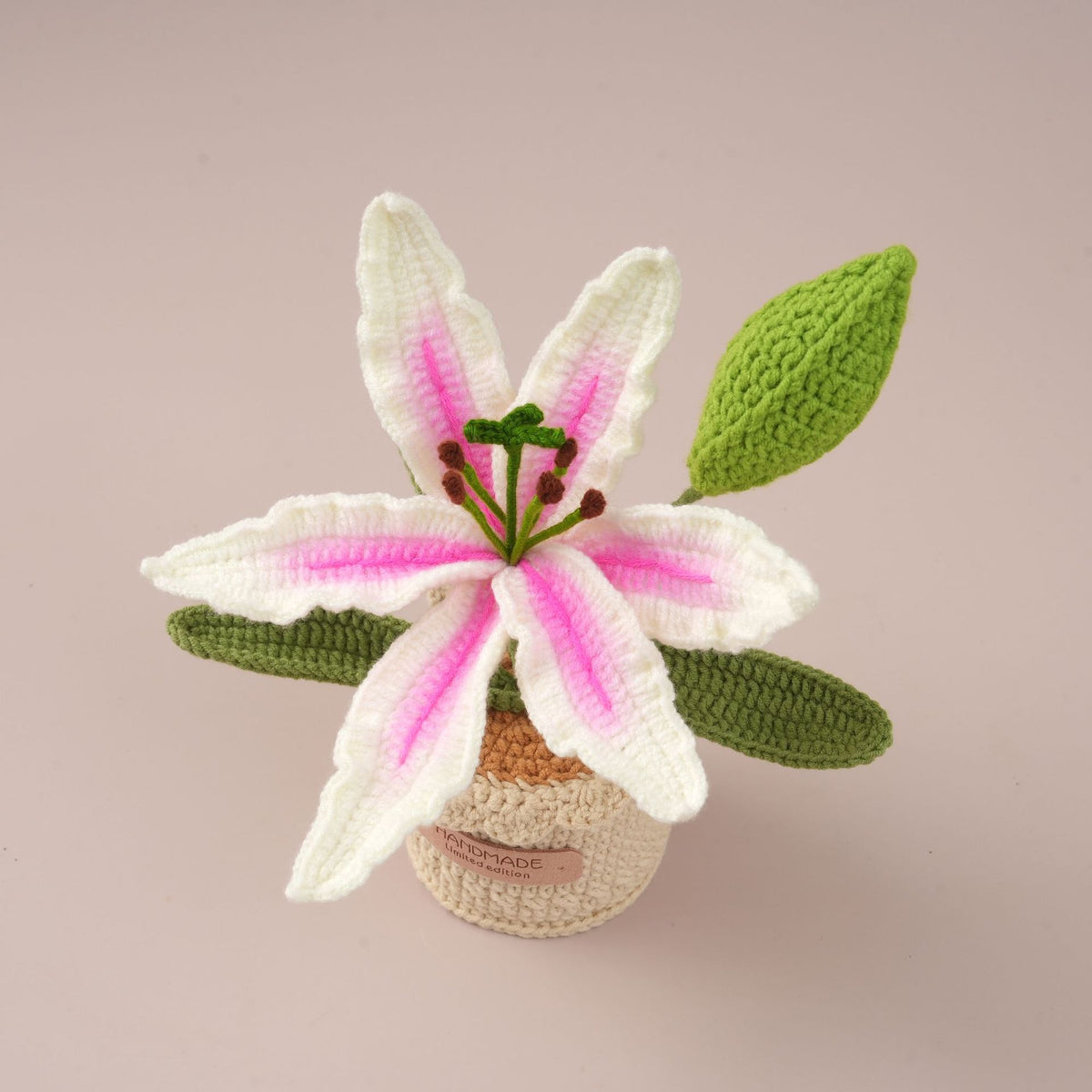 Pot de fleurs de laine et ornement floral