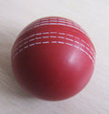 Jouet de balle d'évent de cricket de pression PU