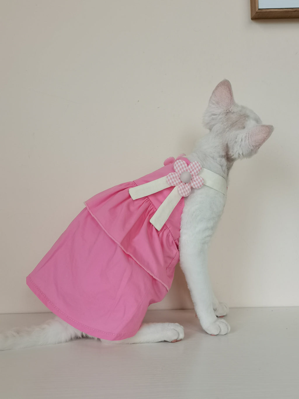 Sphynx Cat Robe d'été en coton avec des paillettes florales Accent