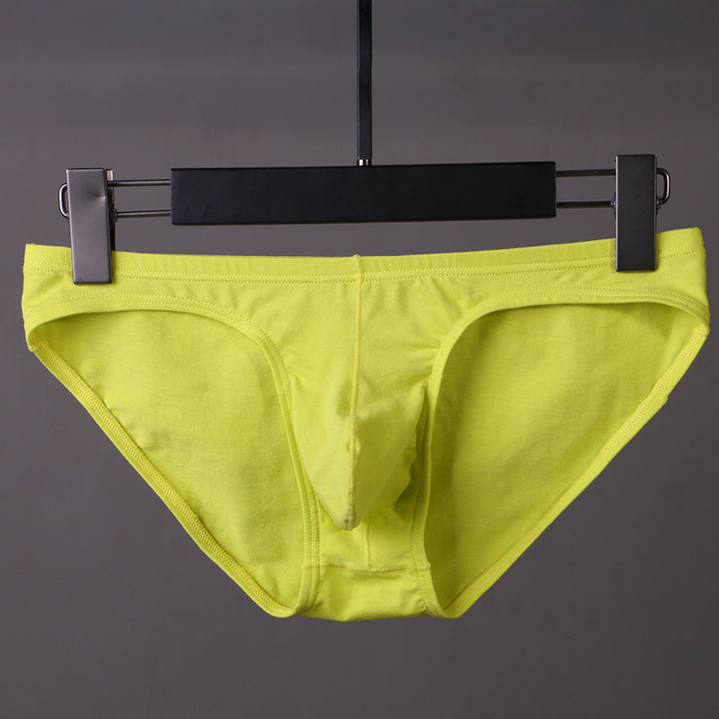 Sous-vêtements en coton Triangle pour hommes Basse taille Sexy U Pouch
