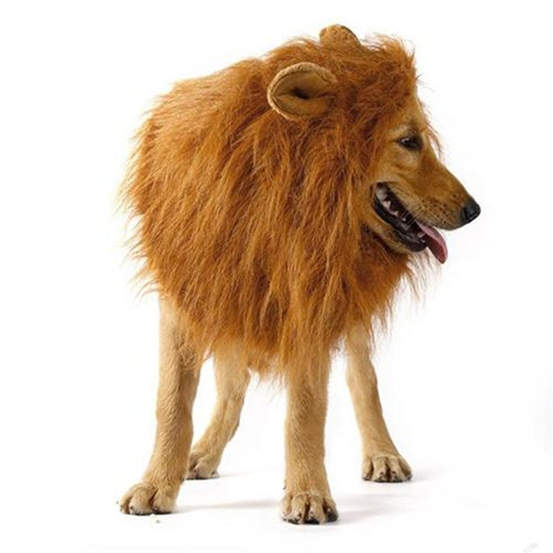 Costume de transfiguration des vêtements de cosplay pour animaux mignons Lion Mane Winter Warm Wig Chat Large Dog P