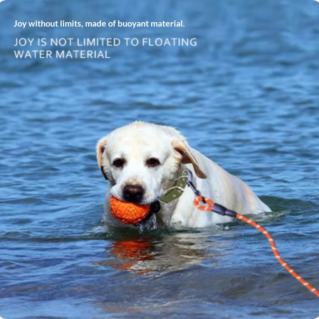 Feuille de chien supplémentaire longue pour la natation des animaux