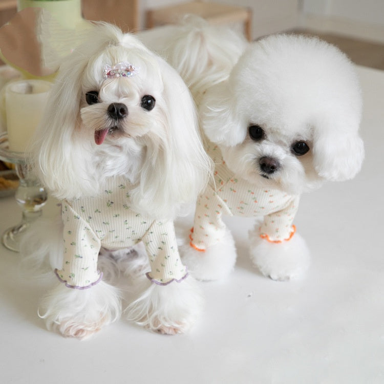 Pet apparel at the base, floral pattern