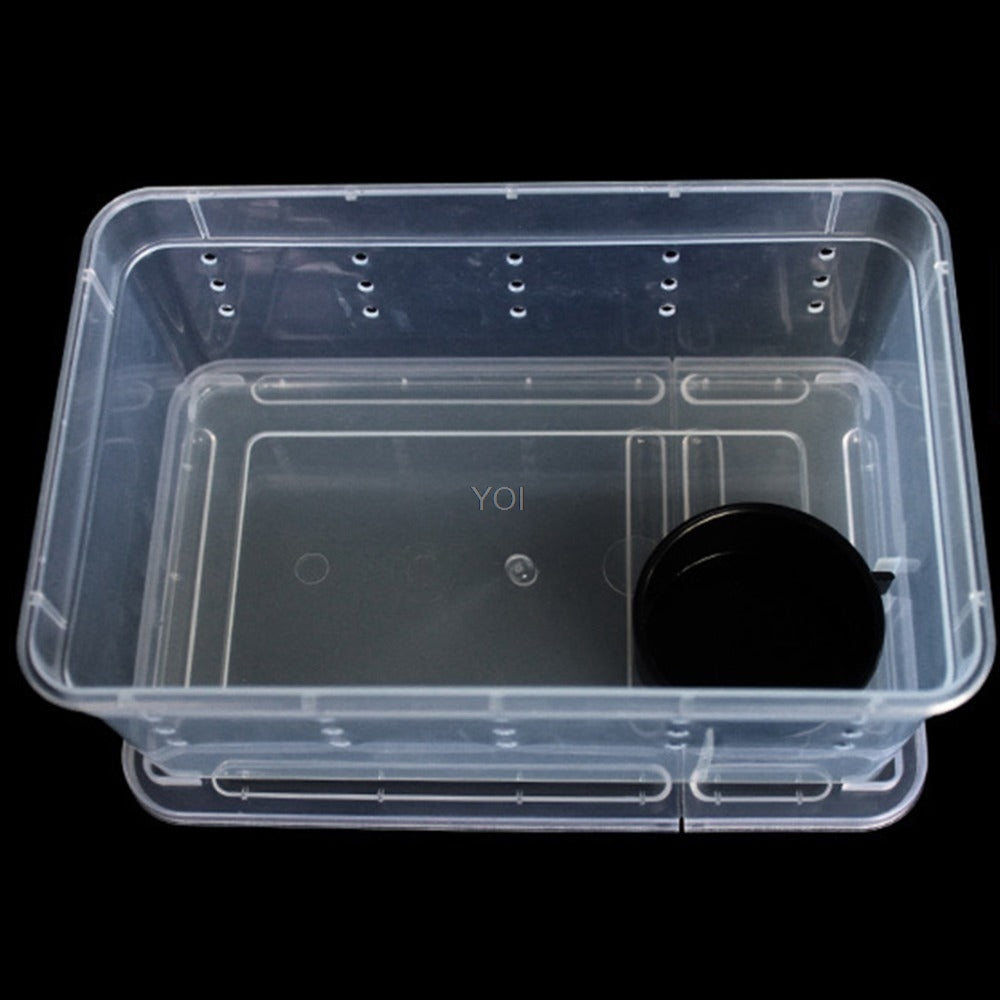 Boîte d'alimentation en plastique transparent reptile
