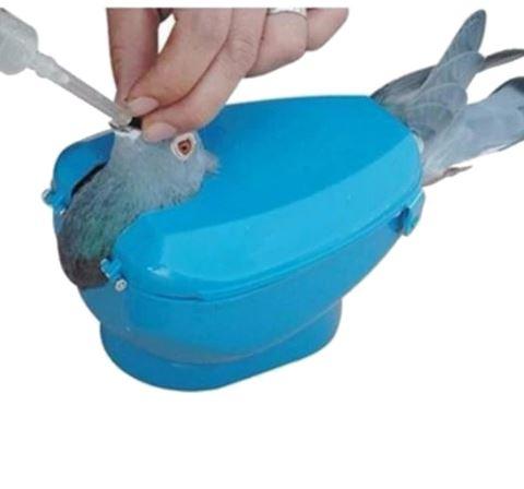 Pigeon de course en plastique support facile Bird rack à cadre fixe médicament nourrisseur bleu clair