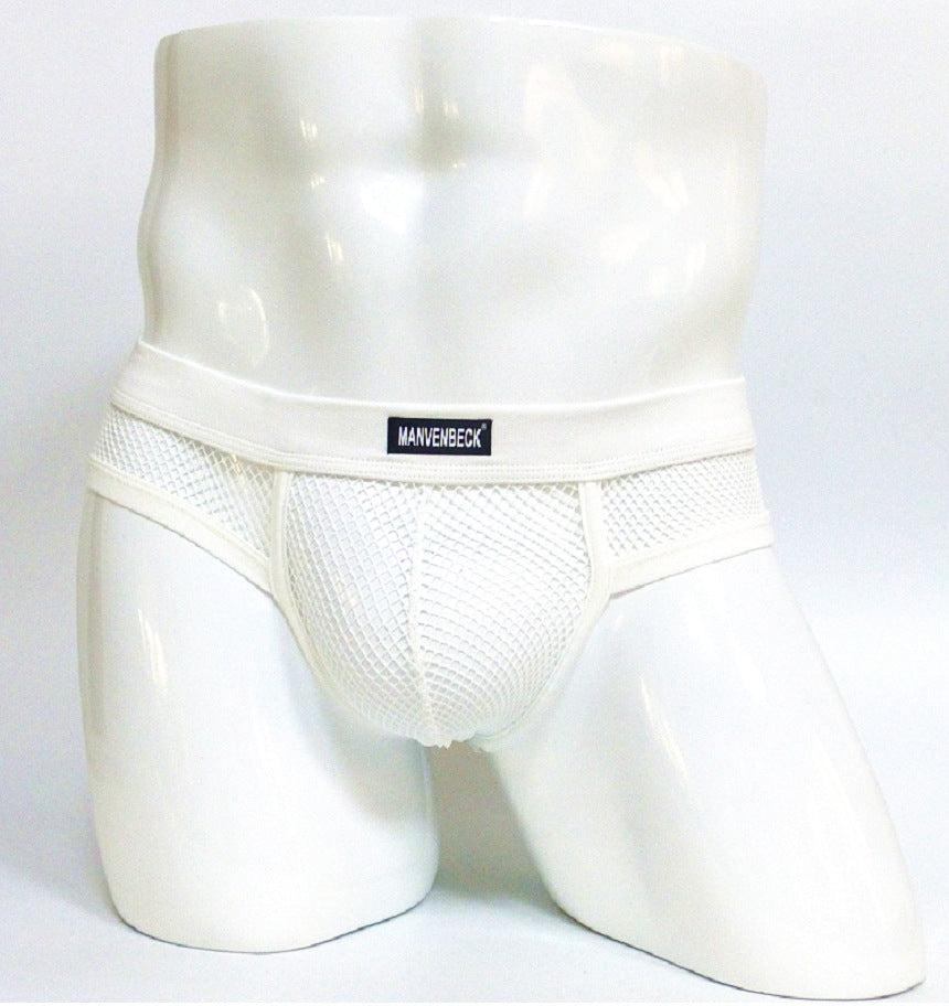 Sous-vêtements homme Transparent Mesh Slips Basse taille Convex Design Sous-vêtements hommes